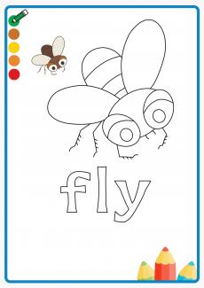 fly coloring book