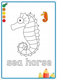 sea horse coloring book