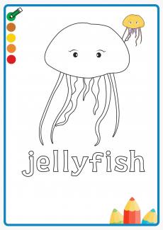 jellyfish coloring book