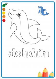 dolphin coloring book