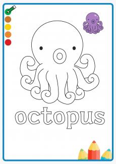 octopus coloring book