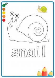 snail coloring book