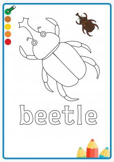beetle coloring book