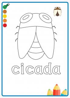 cicada coloring book
