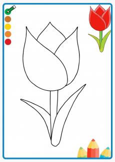 tulip coloring book