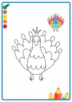 peacock coloring book
