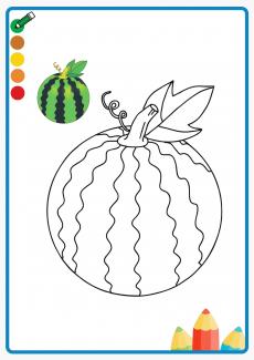 watermelon coloring book