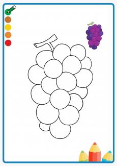 grape coloring book