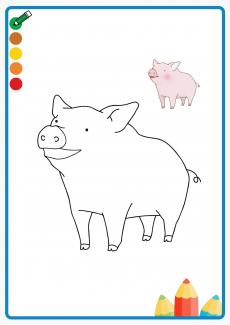 pig coloring book