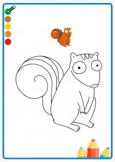 squirrel coloring book