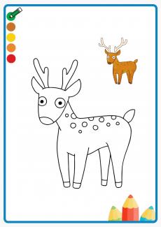 deer coloring book