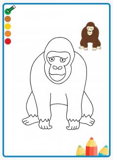 orangutan coloring book