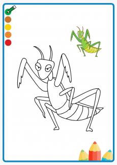 mantis coloring book