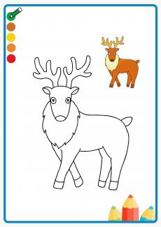 deer coloring book