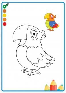 parrot coloring book