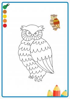 owl coloring book