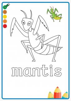 mantis coloring book
