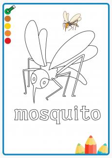 mosquito coloring book