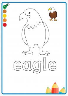 eagle coloring book