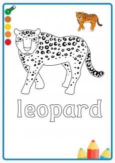 leopard coloring book