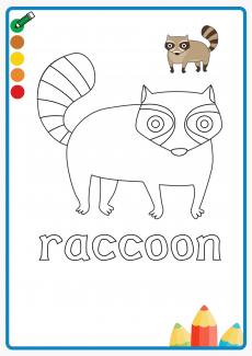 raccoon coloring book