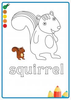squirrel coloring book