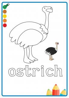 ostrich coloring book