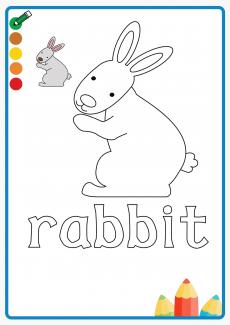 rabbit coloring book