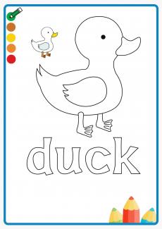 duck coloring book