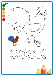 cock coloring book