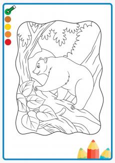 A bear climbing a tree coloring book