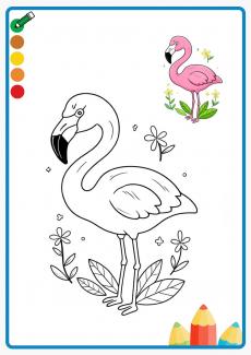flamingo coloring book