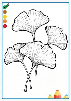 Ginkgo leaves coloring book