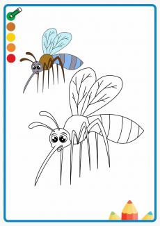 mosquito coloring book