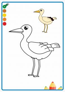 stork coloring book