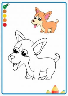 corgi coloring book