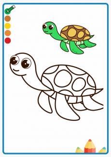 turtle coloring book