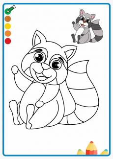 raccoon coloring book