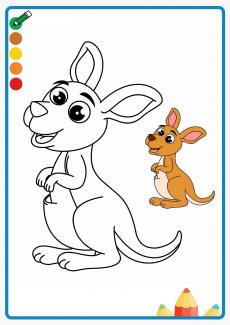 kangaroo coloring book
