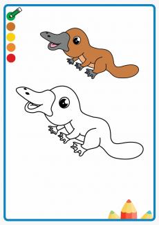 platypus coloring book