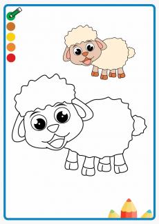sheep coloring book
