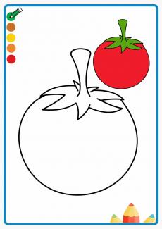tomato coloring book