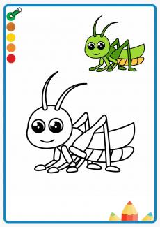 grasshopper coloring book