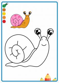 snail coloring book