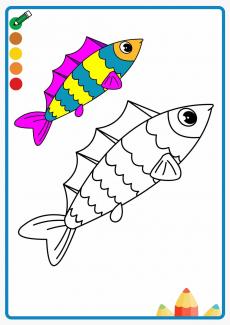 sailfish coloring book