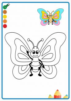 butterfly coloring book
