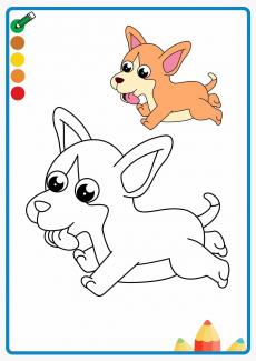 corgi coloring book