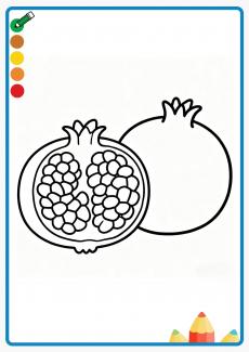 pomegranate coloring book
