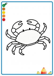 crab coloring book