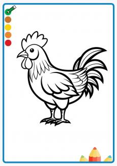 rooster coloring book
